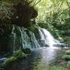 にかほ市　夏におすすめの観光スポット、元滝伏流水をご紹介！🏞️