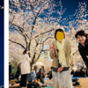 2025 お花見