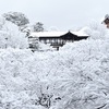 東福寺の雪、氷の雲海に浮かぶ通天橋。