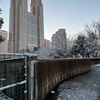 （紹介：雪化粧）新年初の雪化粧で包まれている西新宿エリアを紹介します