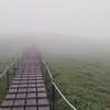 黒沢湿原と久々の剣山登山