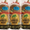 Amazon.com: Oasis Flaxseed Bread, 3 Pack- Low Carb, Keto, All Natural, Sprouted : Grocery & Gourmet Food