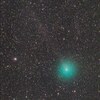 Comet 46P/Wirtanen，確かに淡い尾が長いです