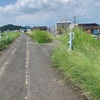 土手草のそよぎそよいで秋の雲(あ)