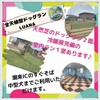 いよいよ開催 本日 11時～ 茨城県潮来市日の出 ドッグランLUANAさんで出店です