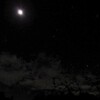 今朝の月