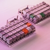 The Beauty of Self-Made Keyboards - Eucalyn 改 配列を作った話