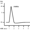 神経活動はデジタル信号か？