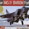 今プラモデルの1/48 ミコヤーン MiG-31BM/BSM フォックスハウンド 限定版にいい感じでとんでもないことが起こっている？