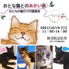 12/19　猫の譲渡会のお知らせ　川口市新堀・歓喜院様にて