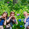 ３+３のハート：太閤山のアジサイ