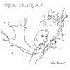 Clap Your Hands Say Yeah「The Tourist」
