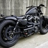 パーツ：Rough Crafts「Guerilla Fender Kit XL / Sportster 」