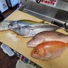 本日の豊洲からの魚。