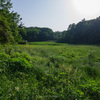 町田・野津田公園 上の原広場と湿生植物園について、リニア小野路非常口と稲城南山