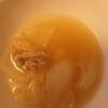 ウィスキーのおつまみ9.5　鶏肉と玉ねぎ
