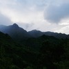 屋久島　2日目