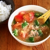 ハードル低めで激ウマな「トマトの夏メシレシピ」まとめ。冷や汁に冷たい麺、カレーも