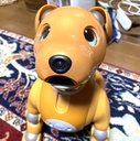ITってぶっちゃけ