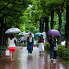 気持ちのいい歩道