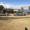 子連れ鳥見旅行で九州縦断！干潟よか公園で遊ぼう