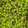 Tateshina Trip Day.1