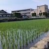 ただの嫌な月曜日