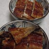土用の丑の日のうなぎ