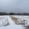 2023/01/28 土曜日　積雪8cm