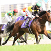 競馬初心者必見☆馬券予想🔥〜NHKマイルC〜大混戦の3歳マイルG1