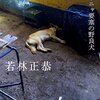 【書評】表参道のセレブ犬とカバーニャ要塞の野良犬 / 若林正恭 「感想」