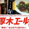 【厚木エール飯】焼き鳥本舗 祭 のつくねカツ丼と焼き鳥弁当【テイクアウト】