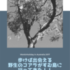 歩けば出会える野生のコアラがすむ島に行ってきた！！➁