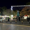 2024年冬　上野恩賜公園散策と上野周辺クリスマスマーケット