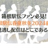 箱根駅伝春夏秋冬2024前編のポイントをご紹介！見逃し配信はどこである？