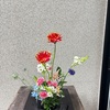 5月の草むらのように