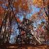 【山梨】向山～三頭山　奥多摩随一のブナ林と紅葉登山