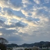 生きとし生けるものの理不尽