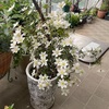 ペットシッターさんと打ち合わせ！