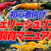 初心者におすすめ！チェリーシュリンプの簡単飼育マニュアル