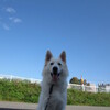 青空高く