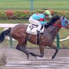 ６日に帰厩。次走は３０日の東京・秋嶺Ｓを予定しています。☆ロコポルティ
