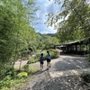 【お出かけスポット】【埼玉県】【飯能市】たいら栗園でバーベキュー＆川遊びをしてきました　その2