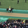 東京競馬4R パドック直前予想 12 ゲンパチマサムネ