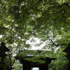妙本寺山門
