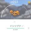 【ポケGO】コミュデイで色違いのアローライシツブテをゲットだぜ！