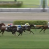 ９月１５日公開予想・結果　～想定外の中京10Ｒ複勝1,280円