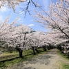 日本最古の公園！福島県白河市の南湖公園を訪ねる