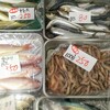 ６月７日　河西鮮魚店