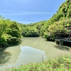 弘法池（愛知県南知多）